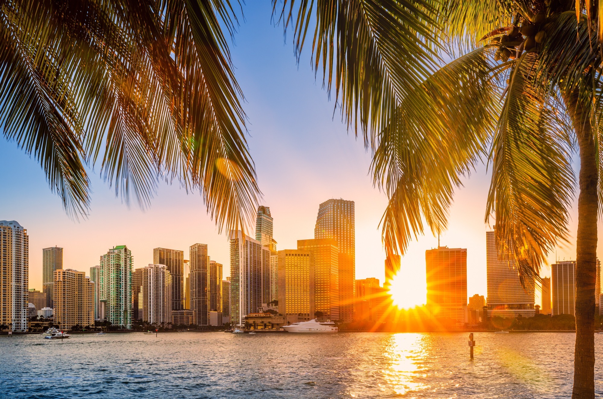 Miami sunset skyline